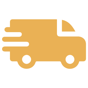 Express Shipping <br> All over India